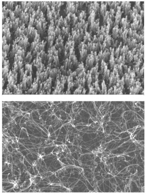 Plasma Processing